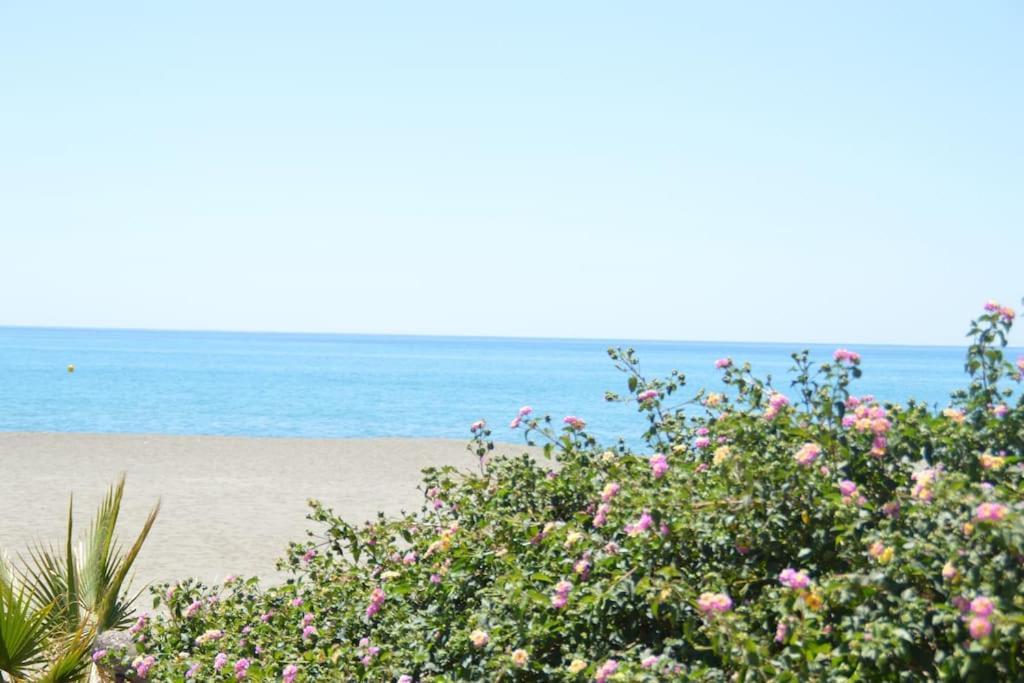 Appartement Nuevo Con Piscina, Disfruta Del Silencio, Familias Con Ninos, Aire Acondicionado, 2 Banos, Wifi, Terraza, Playa, Toallas Y Sombrillas