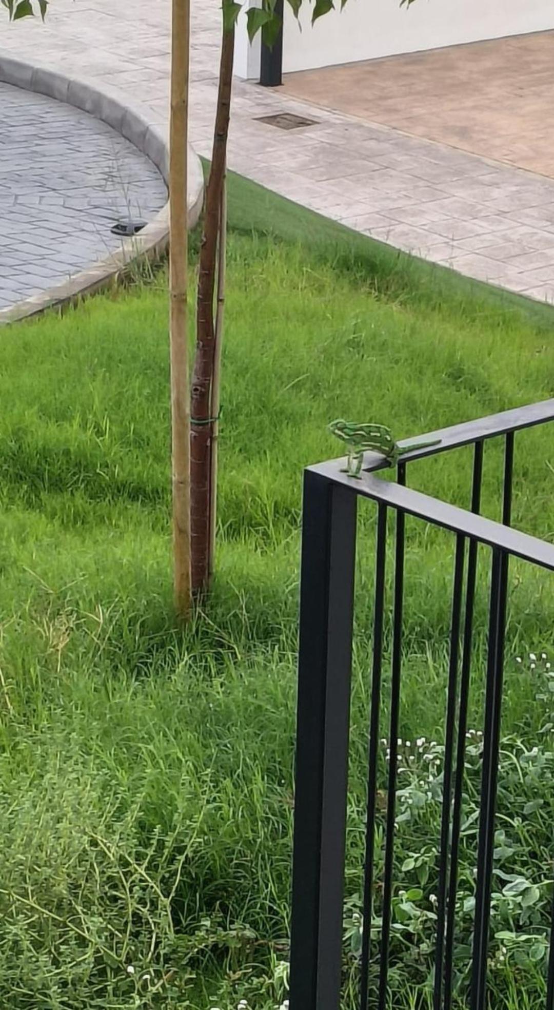 Nuevo Con Piscina, Disfruta Del Silencio, Familias Con Ninos, Aire Acondicionado, 2 Banos, Wifi, Terraza, Playa, Toallas Y Sombrillas